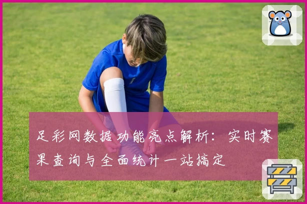 足彩网数据功能亮点解析：实时赛果查询与全面统计一站搞定