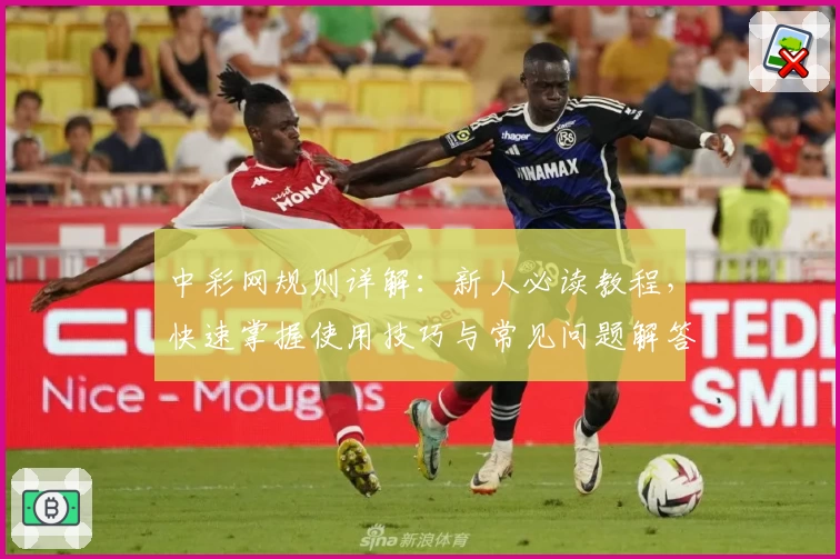 中彩网规则详解：新人必读教程，快速掌握使用技巧与常见问题解答