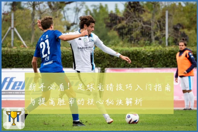 新手必看！足球竞猜技巧入门指南与提高胜率的核心秘诀解析