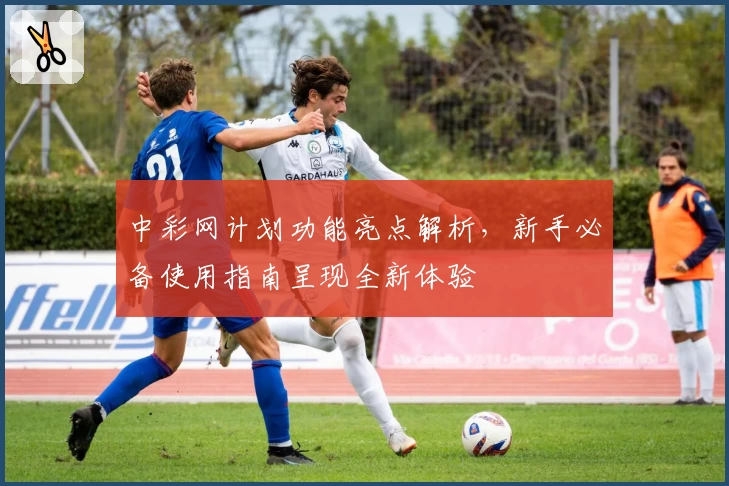 中彩网计划功能亮点解析，新手必备使用指南呈现全新体验