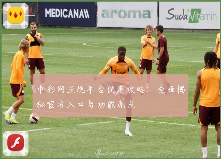 中彩网正规平台使用攻略：全面揭秘官方入口与功能亮点