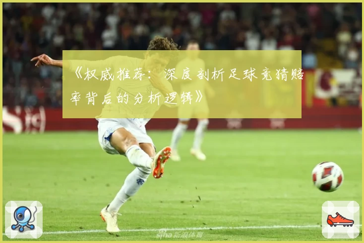 《权威推荐：深度剖析足球竞猜赔率背后的分析逻辑》