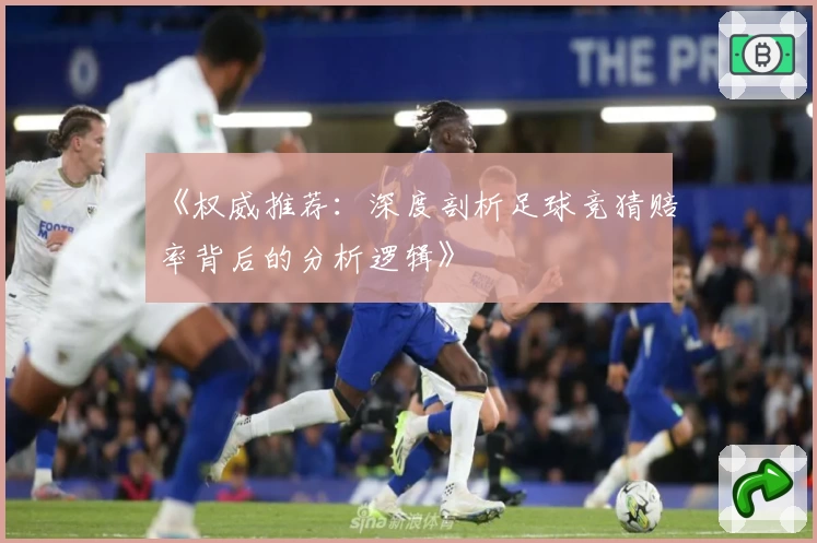 《权威推荐：深度剖析足球竞猜赔率背后的分析逻辑》