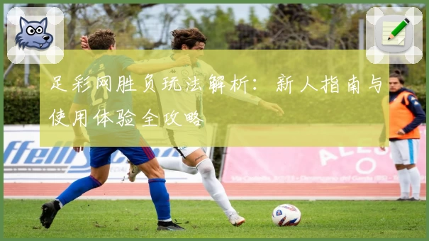 足彩网胜负玩法解析：新人指南与使用体验全攻略