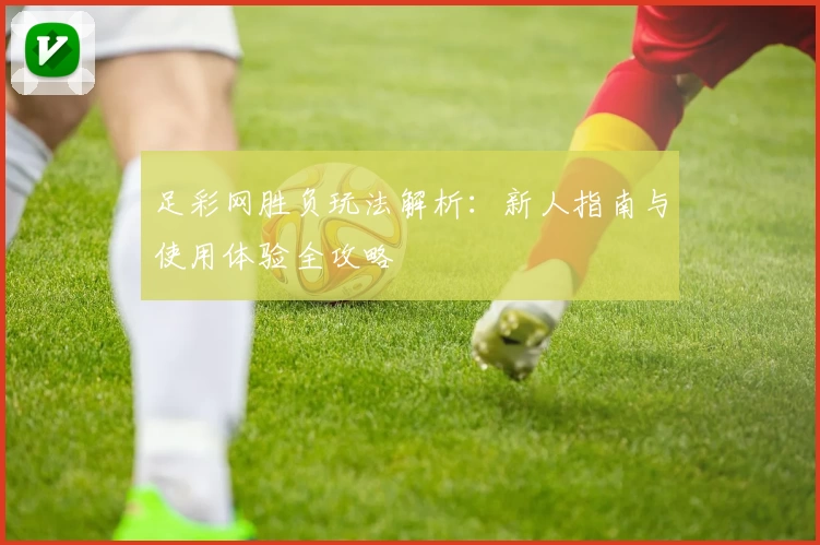 足彩网胜负玩法解析：新人指南与使用体验全攻略