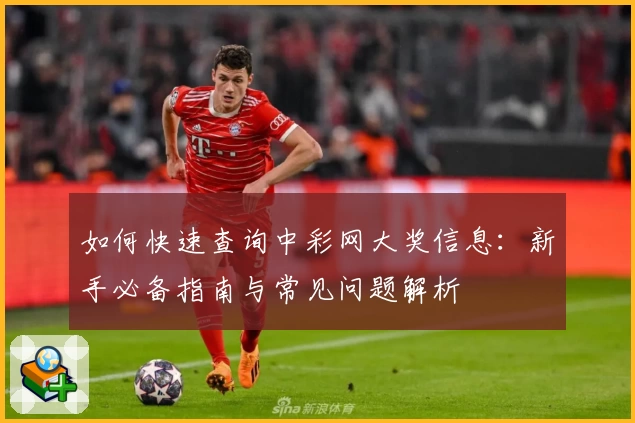 如何快速查询中彩网大奖信息：新手必备指南与常见问题解析